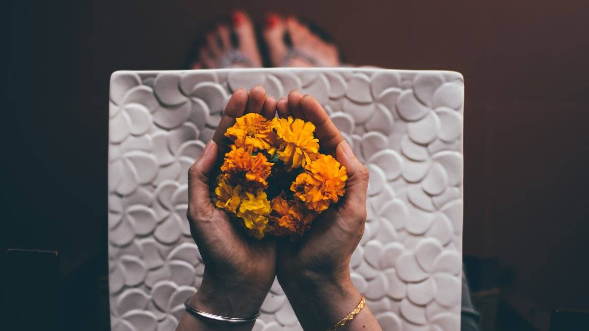 Calendula