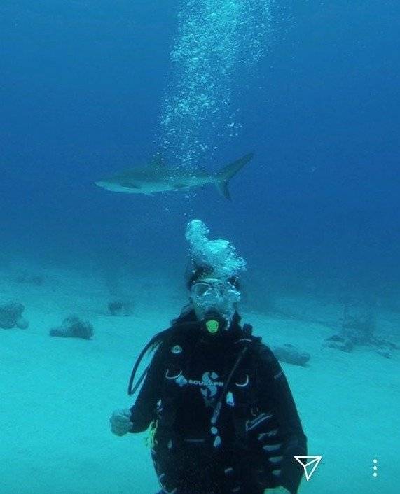 La famosa presentadora que se fue a nadar con tiburones