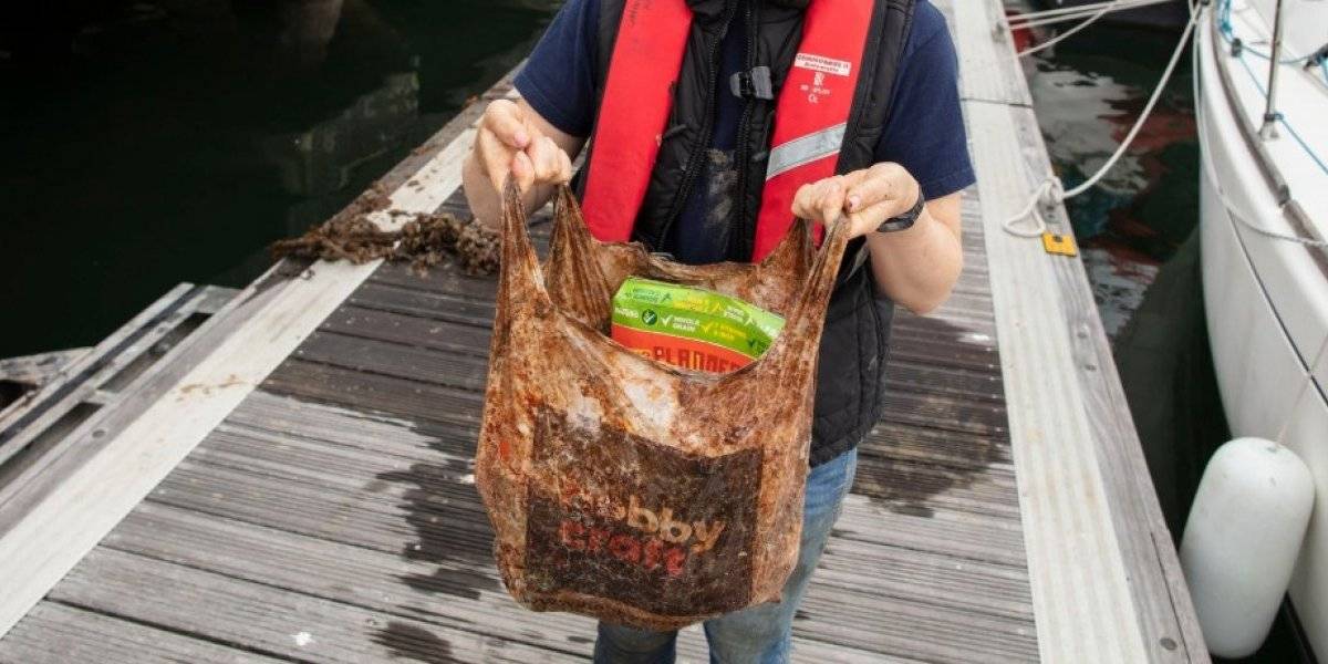 ¿Estamos siendo engañados?: estudio revela que bolsas plásticas "ecológicas" siguen provocando daños en el medio ambiente