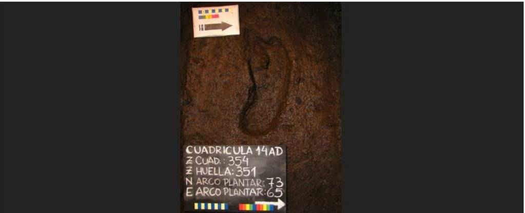 Huella humana más antigua de Latinoamérica ha sido encontrada en Chile Huella humana más antigua de Latinoamérica ha sido encontrada en Chile