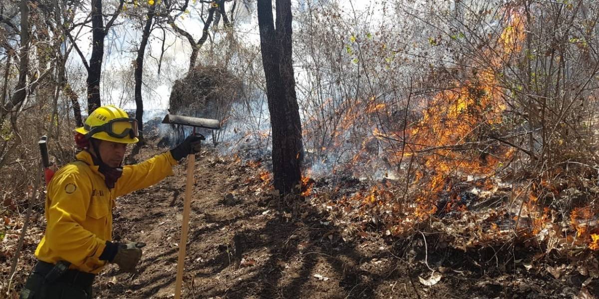 Conred labora para sofocar nueve incendios forestales