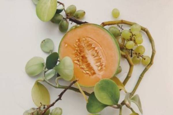 Dieta con melon para adelgazar