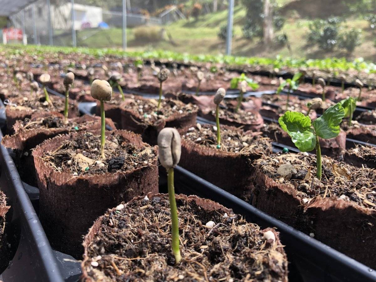 taller agroecologia