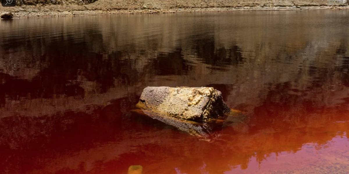 Youtuber grabó una maleta flotando en un lago: No sabía que contenía un cadáver