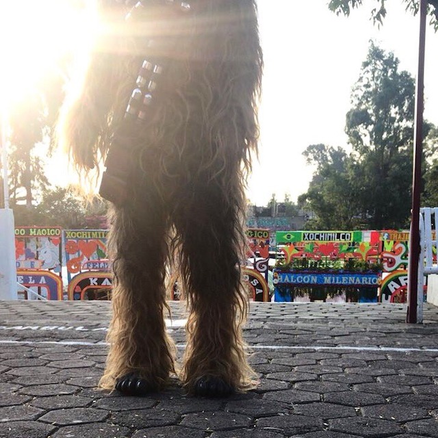 Chewbacca México