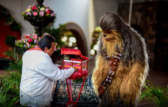 Chewbacca México