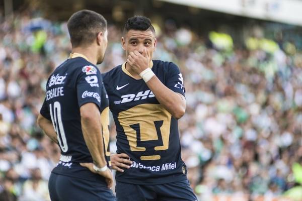 pumas 2019 pumas 2019