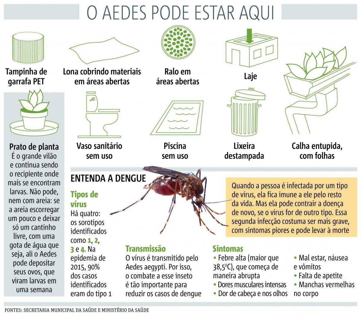 dengue