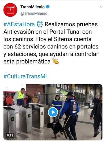 Captura perros en TransMilenio