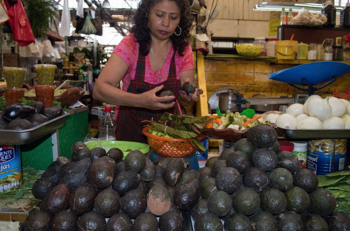 aguacate