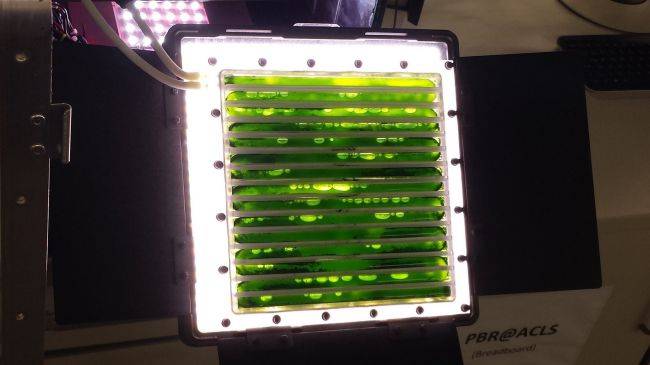 Biorreactor de algas Biorreactor de algas
