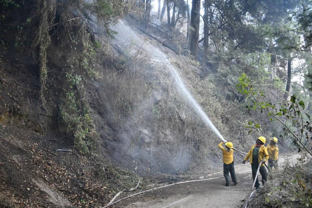 Incendio en el Nevado de Colima devasta 11 mil hectáreas