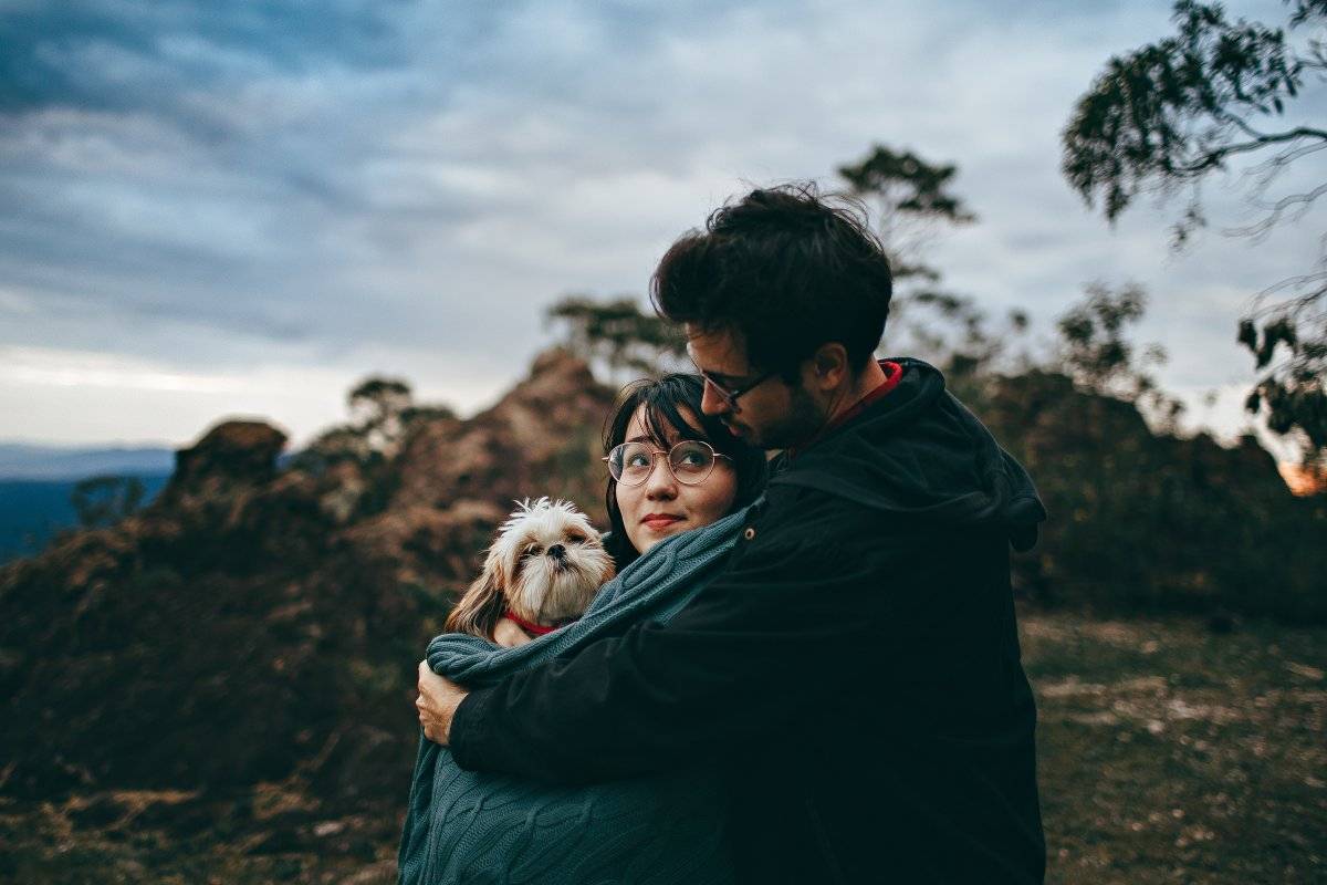 humanizar a los perros