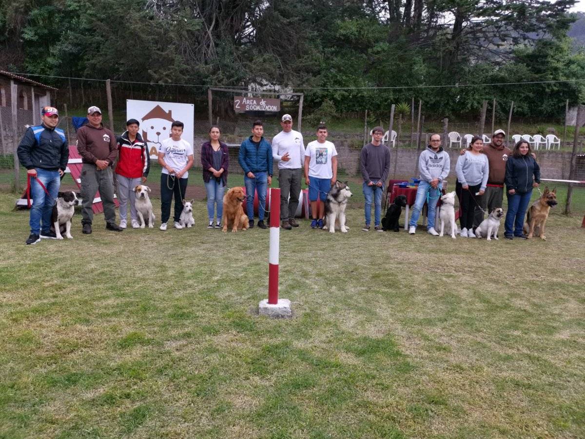 Promoción de perritos graduados en la Aldea