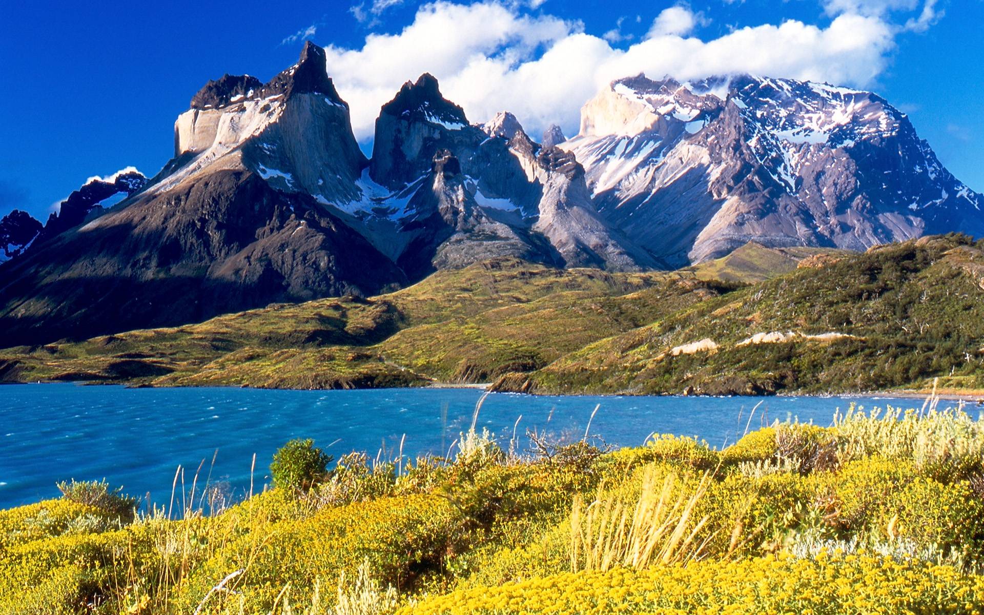 Google dedica llamativo Doodle al Parque Nacional Torres del Paine por su sesenta aniversario Google dedica llamativo Doodle al Parque Nacional Torres del Paine por su sesenta aniversario