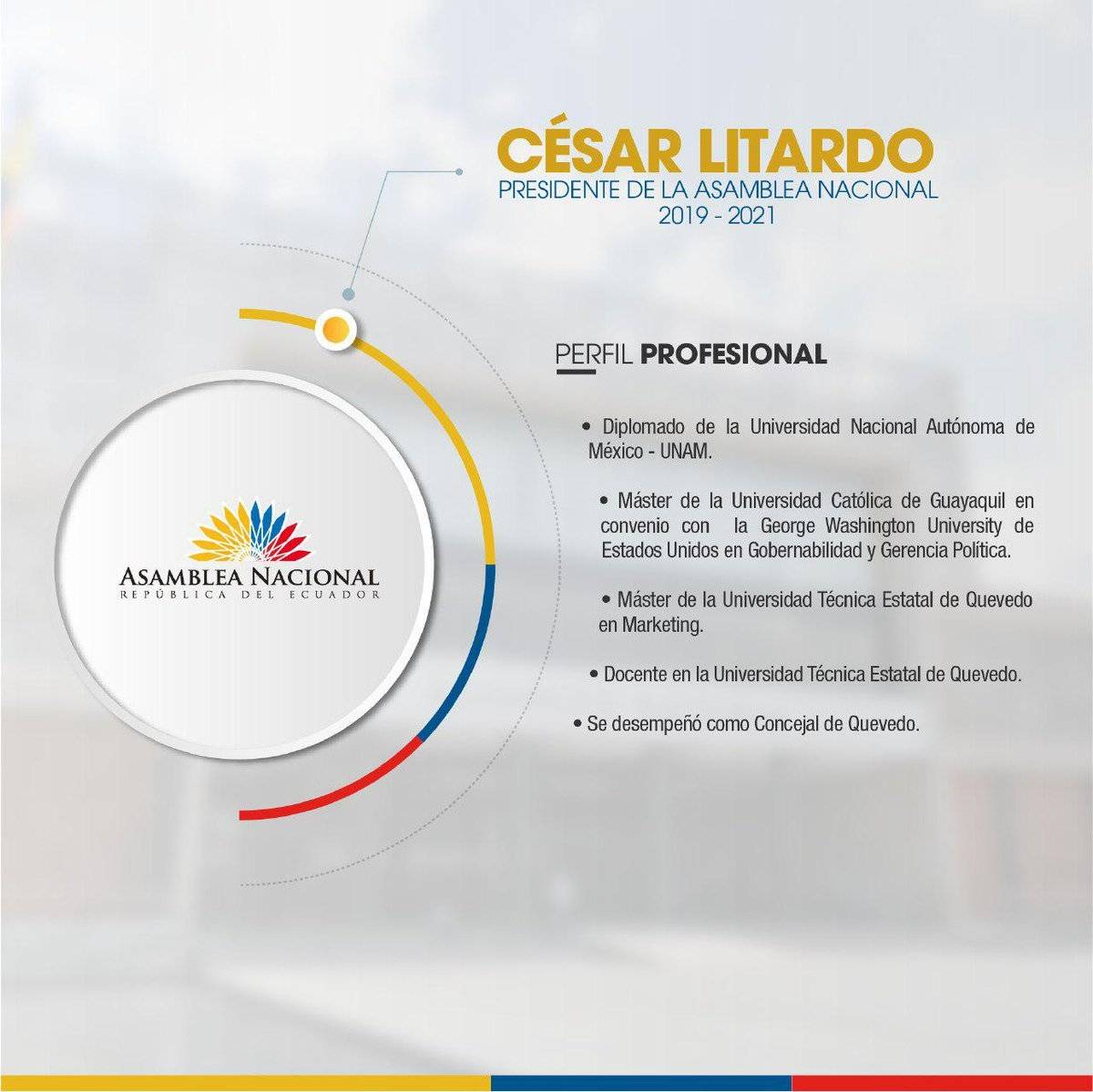 Cesar Litardo perfil profesional