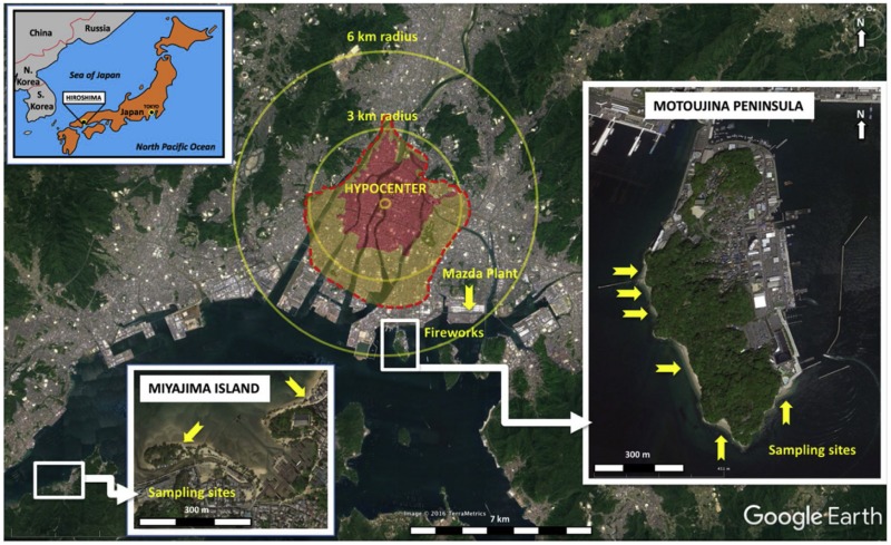 Las playas de Hiroshima todavía están llenas de restos de la explosión de la bomba atómica Las playas de Hiroshima todavía están llenas de restos de la explosión de la bomba atómica
