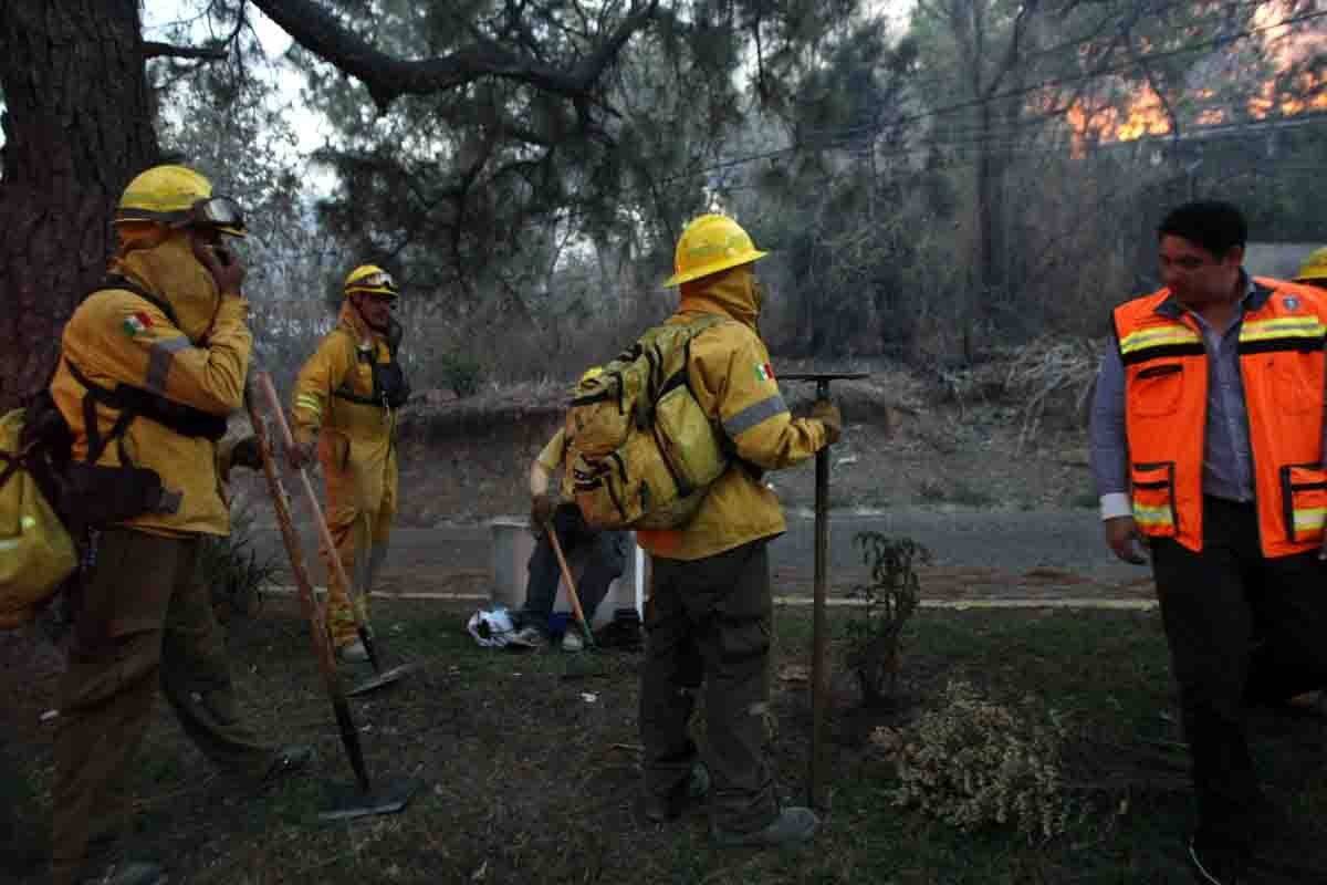 El bosque de La Primavera estará bajo estricta supervisión