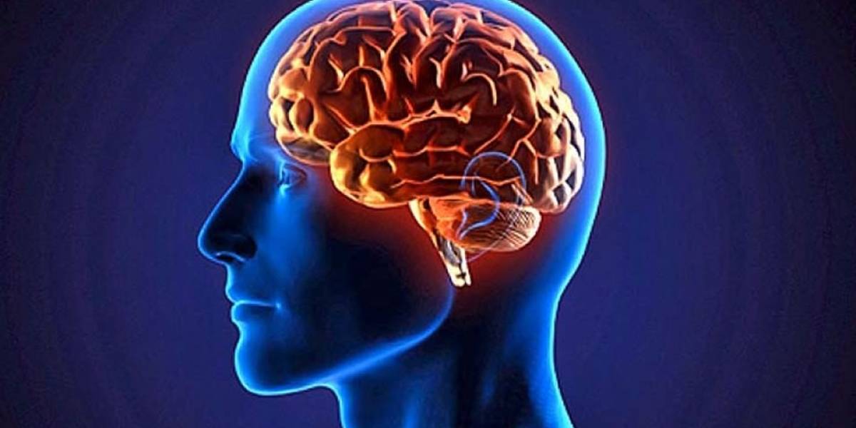 El cerebro de todos los que han vivido en México contiene residuos de metal por contaminación en el aire