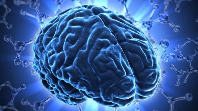 México cerebro
