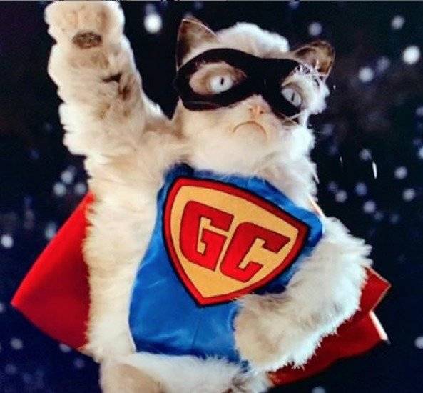 Gato gruñón