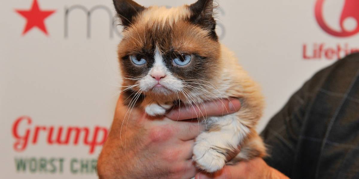 Internet está de luto: Ha muerto Grumpy Cat