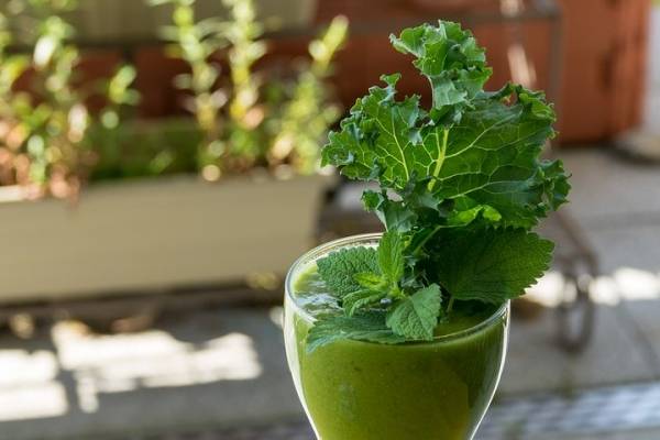 Recetas de jugos naturales para bajar de peso Recetas de jugos naturales para bajar de peso