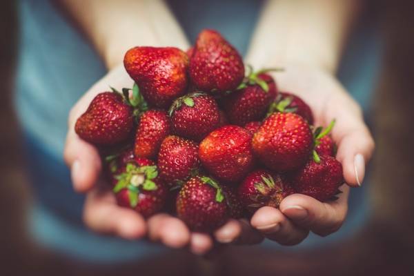 Alimentos para la memoria que comer