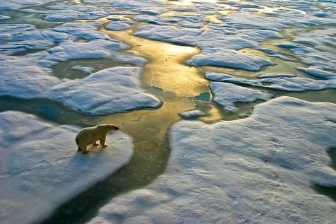 El cambio climático