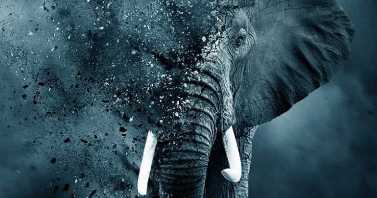 O Extermínio do Marfim (2016)