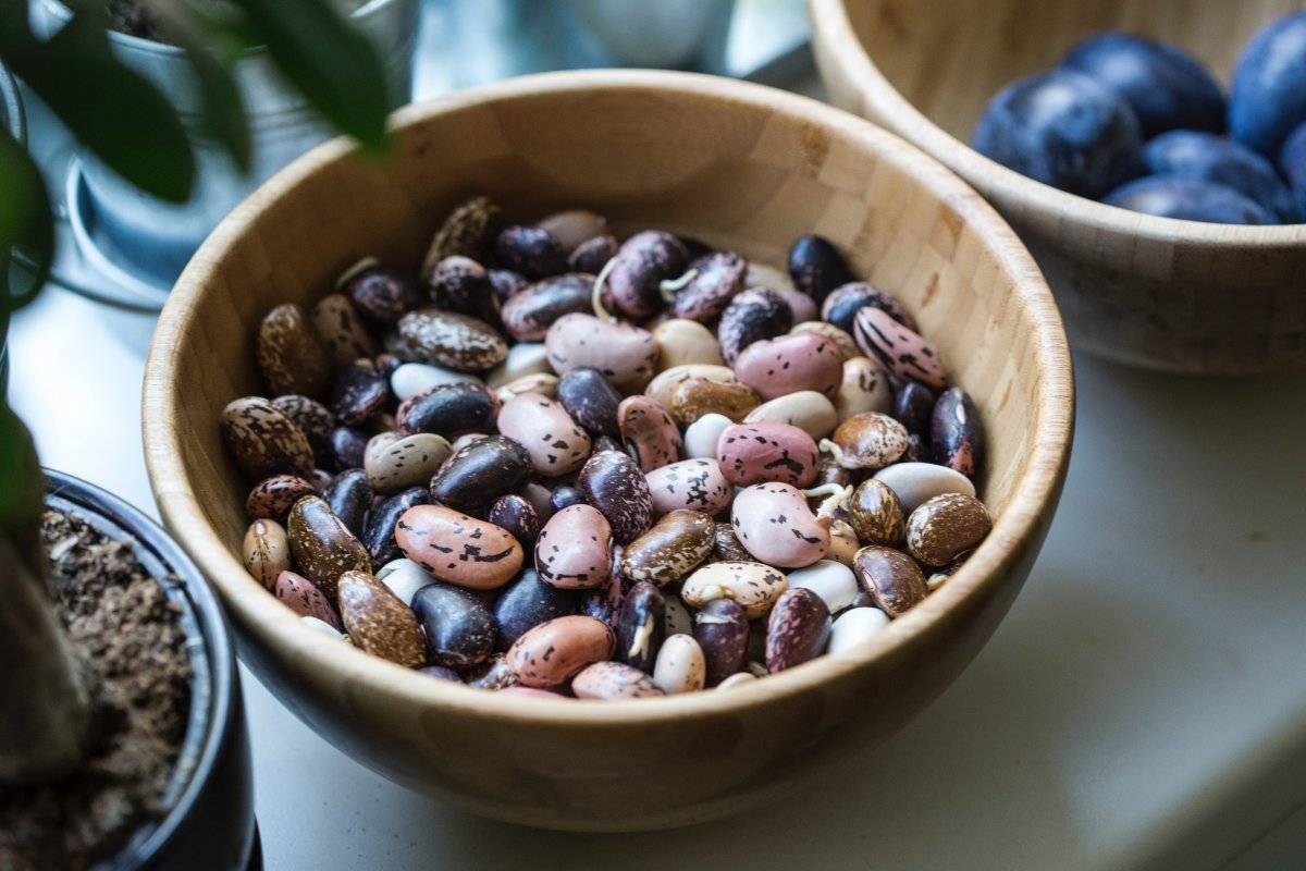 Habichuelas