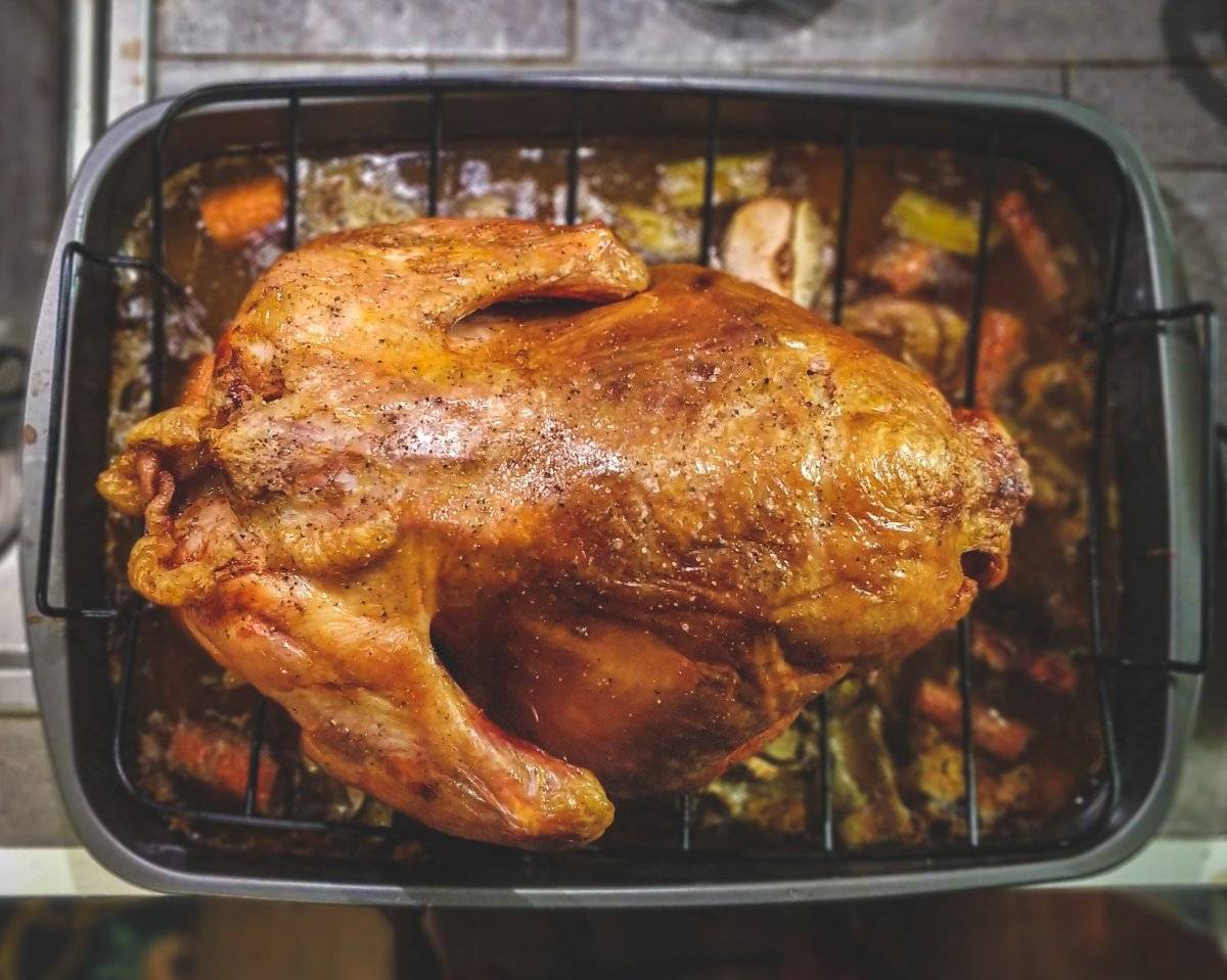 Pollo