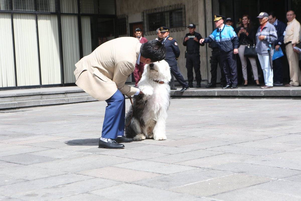 Alcalde de Quito, Jorge Yunda, junto con su perro Zeus