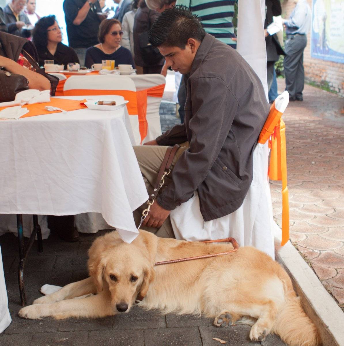 Escuela de perros guía para Ciegos