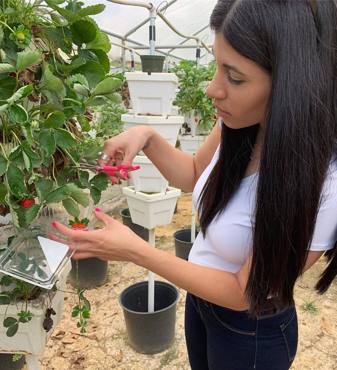 Sweetwater Farm Barranquitas