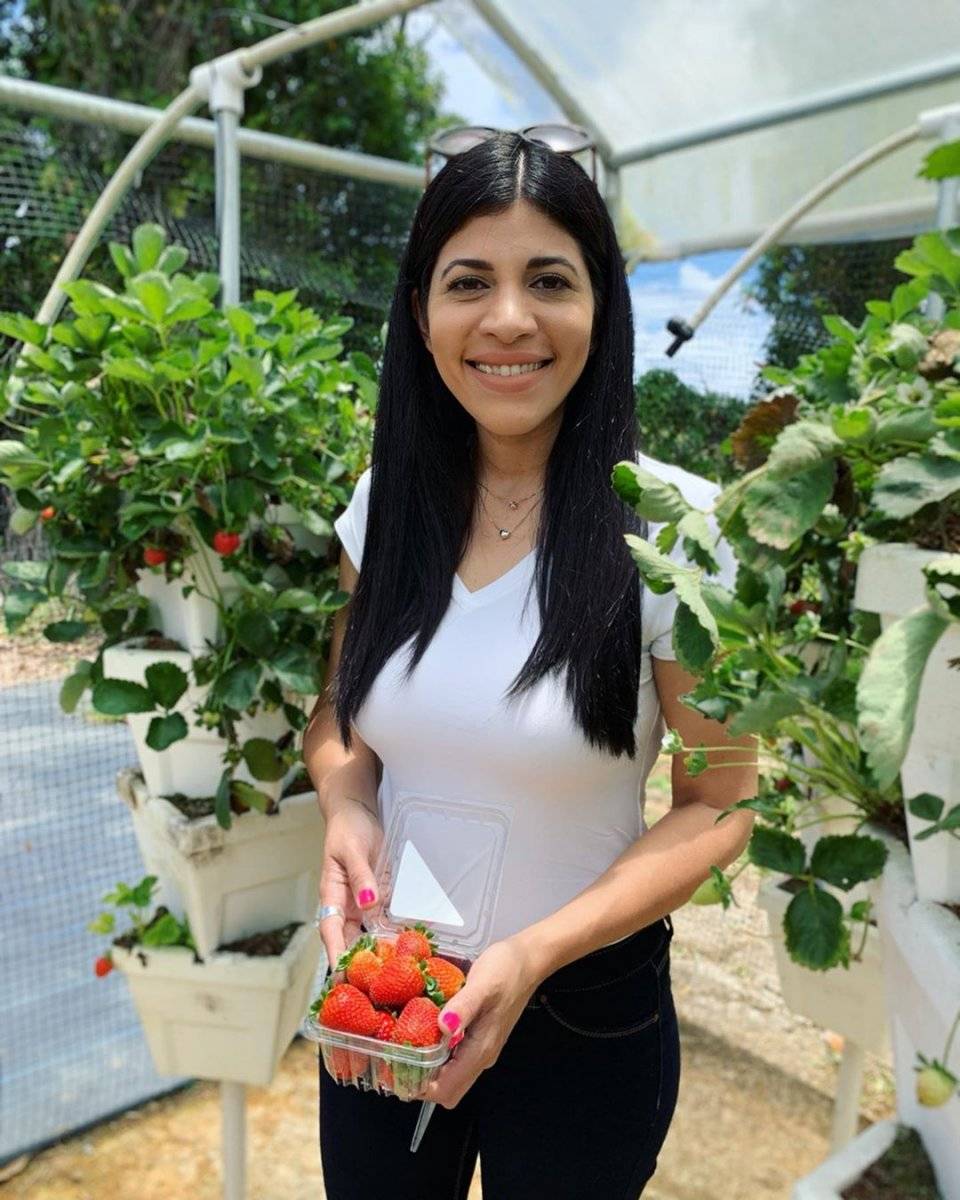 Finca de Fresas en Barranquitas