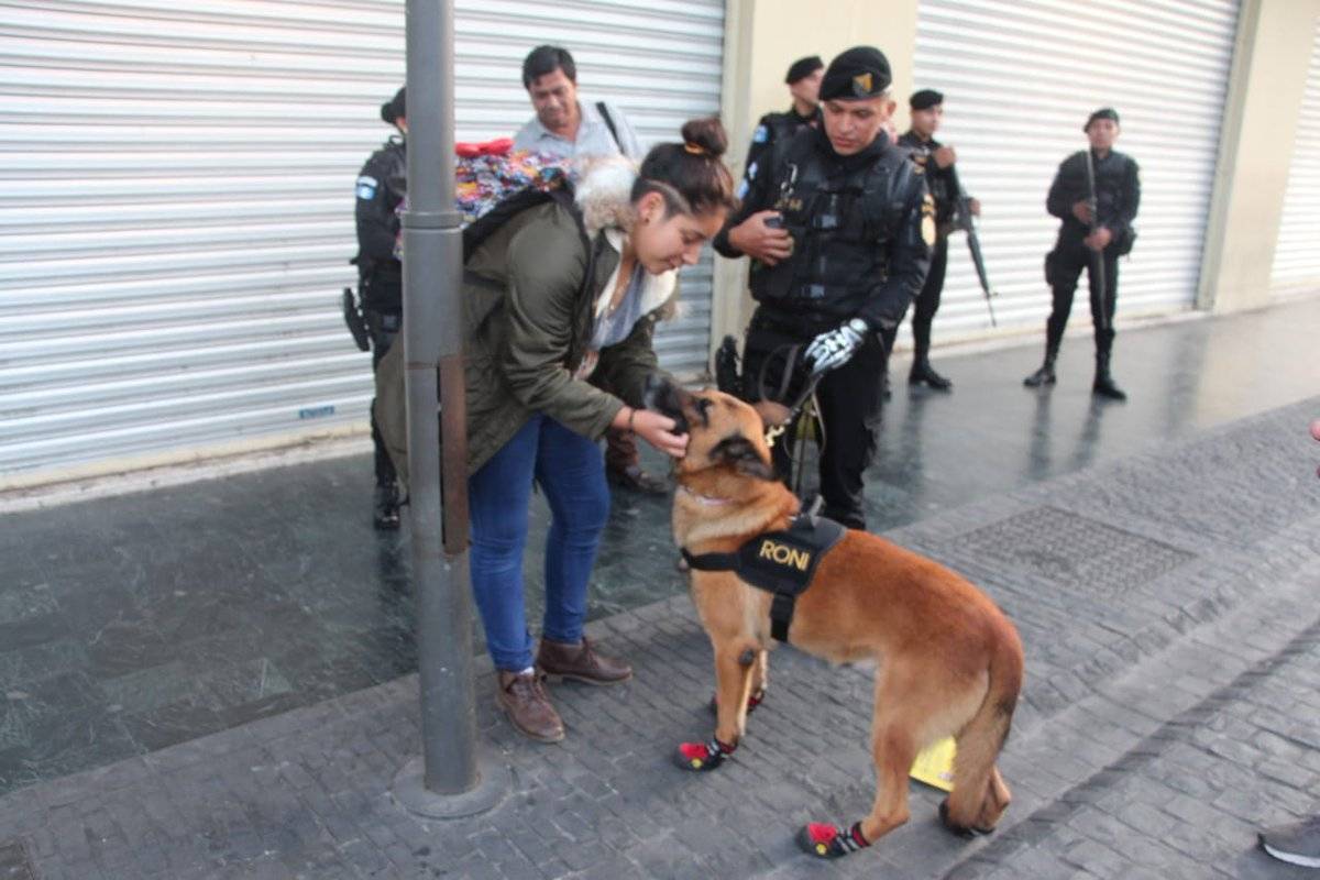 K9 Roni perro policía PNC
