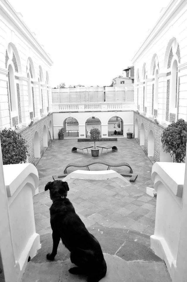 Chester en el CAC