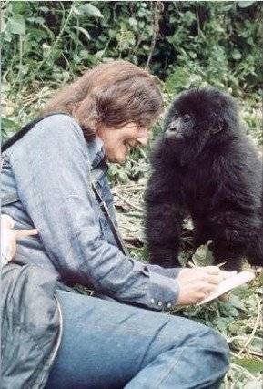Poppy e investigadora Fossey