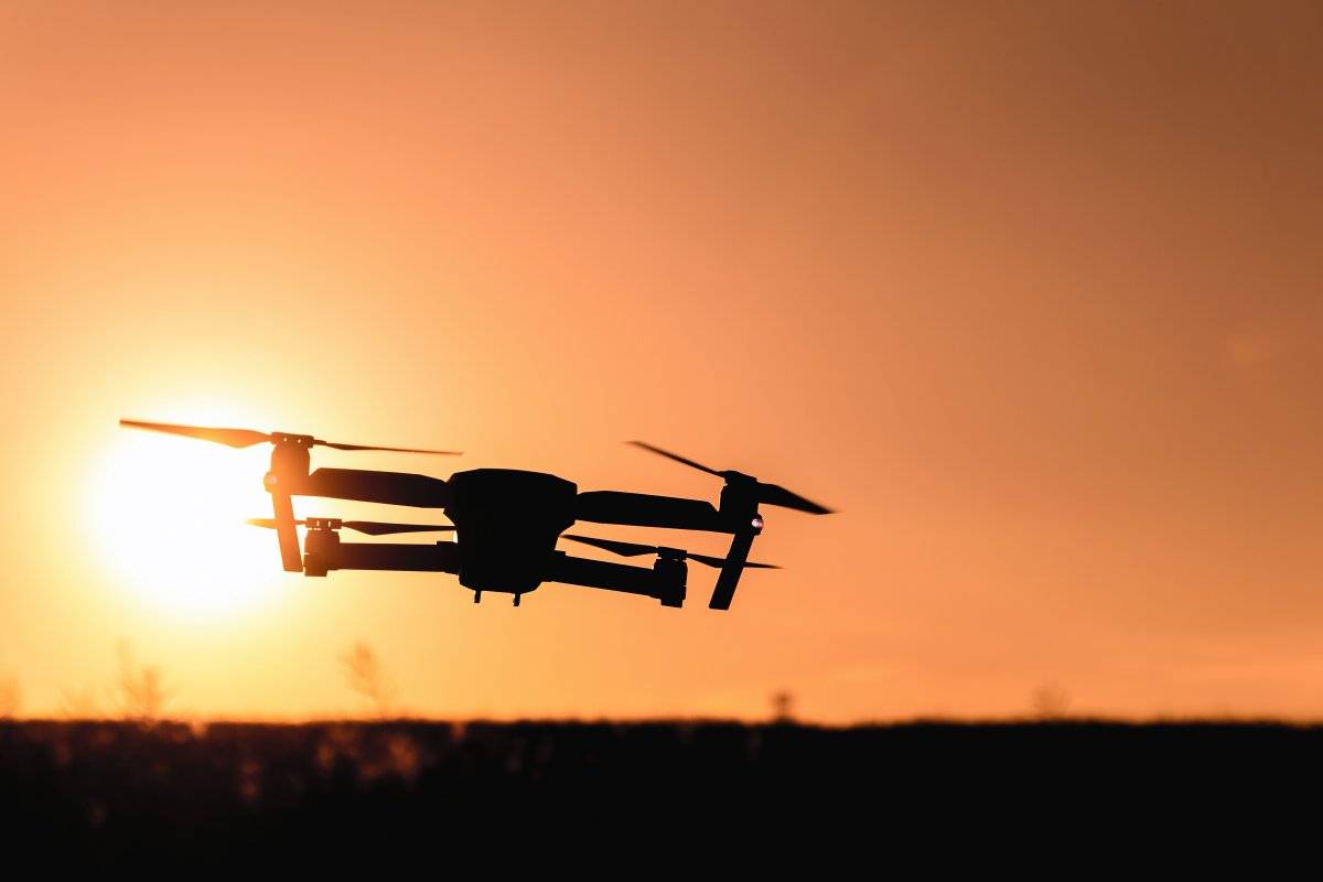 Una especie de monos africanos creó un sonido especial para alertar sobre la presencia de drones cercanos
