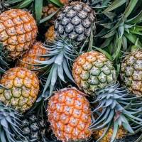 7 razones por las que deberías comer piña
