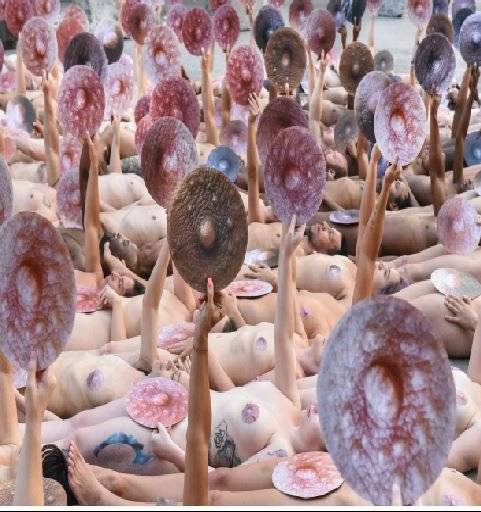 desnuda