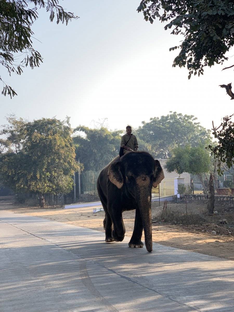 Viaje a India