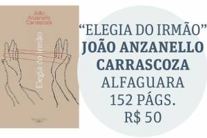 capa elegia do irmão