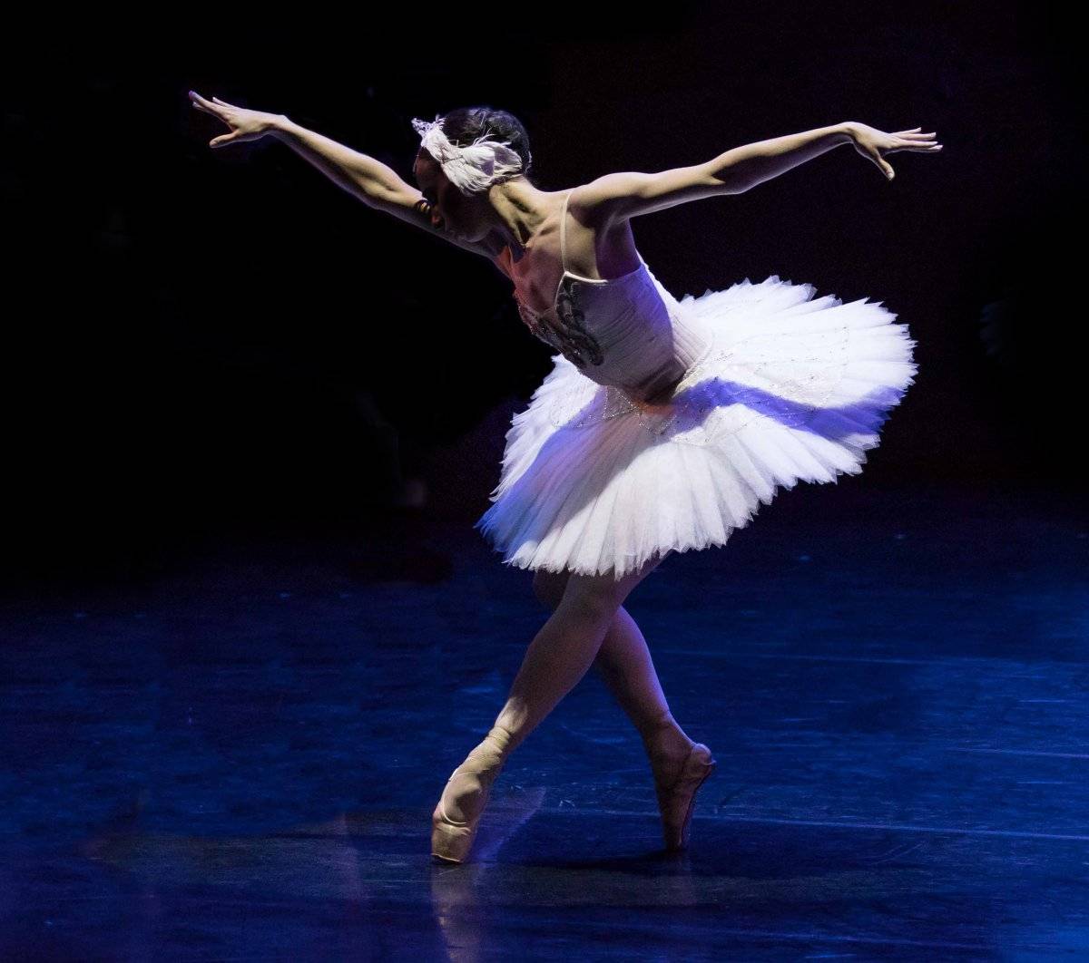 A Morte do Cisne
