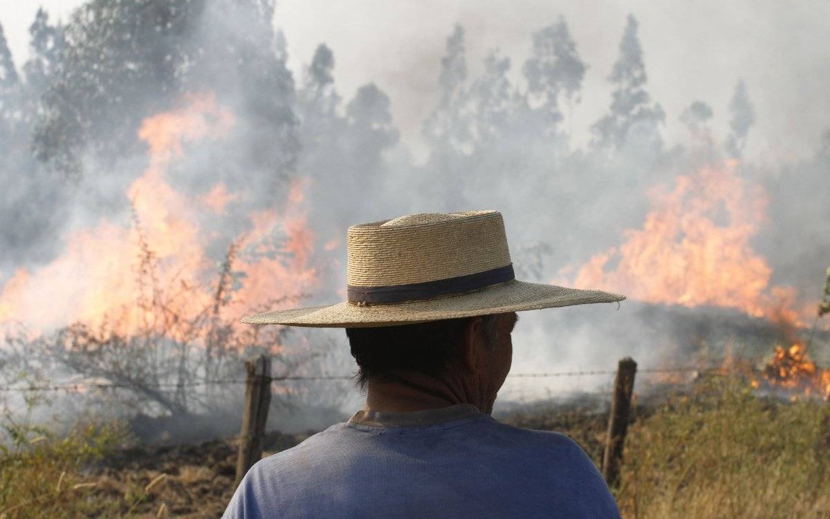 incendiosannicol-6178388a74b8c75625cd18f26b714d9a.jpg