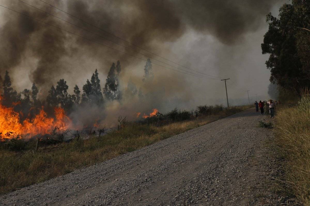 incendiosannicol-92b76d858dcd66d3784d64d171a15c12.jpg