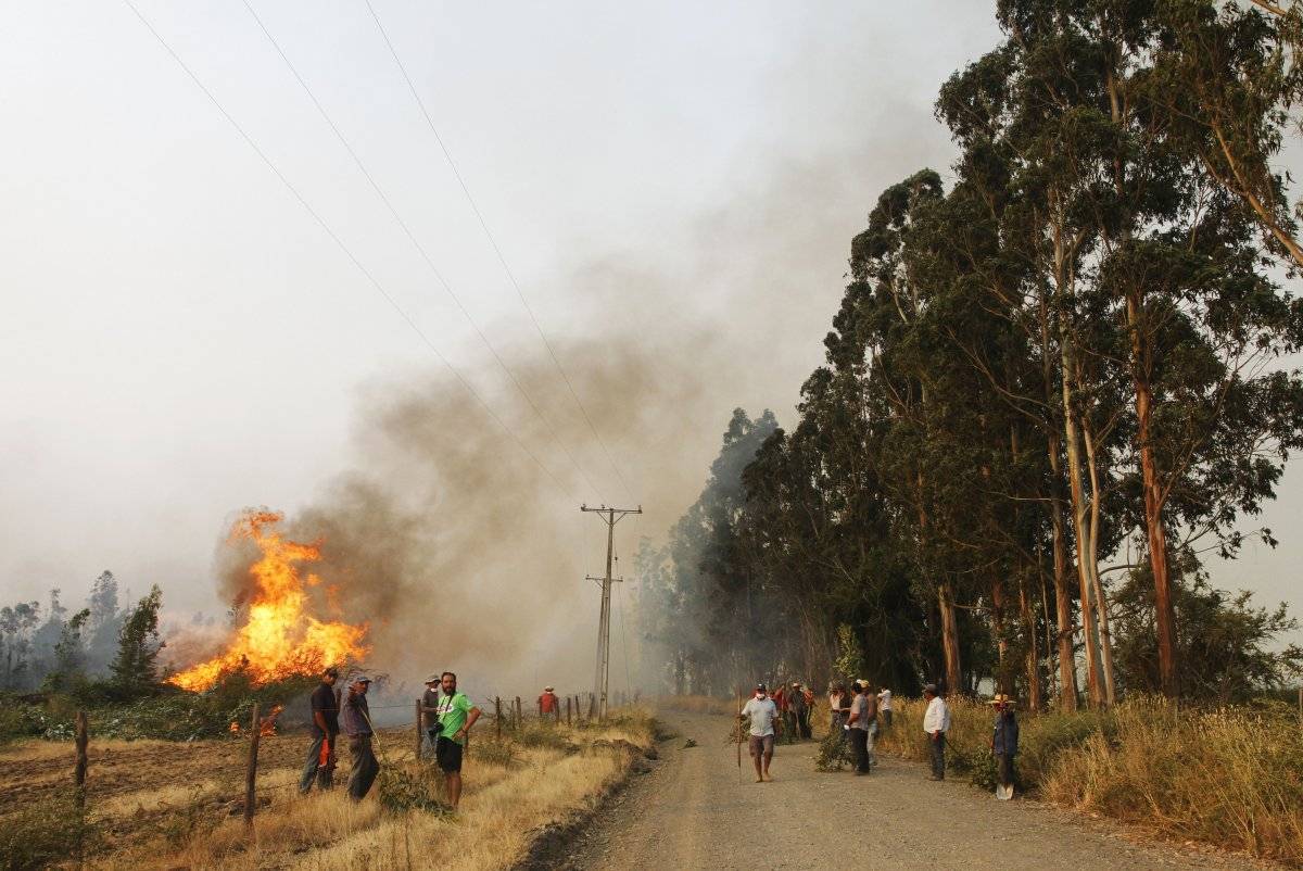 incendiosannicol-ac57d2f0d176f0a21a6e86865cedd3ed.jpg