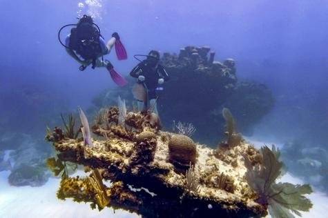 arte ecológico