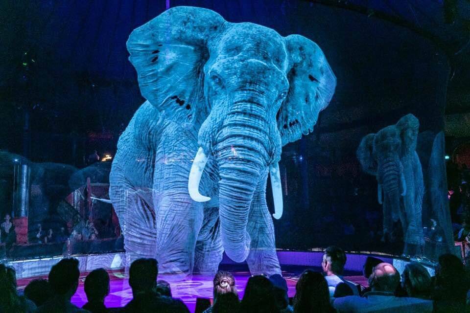 Circus Roncalli